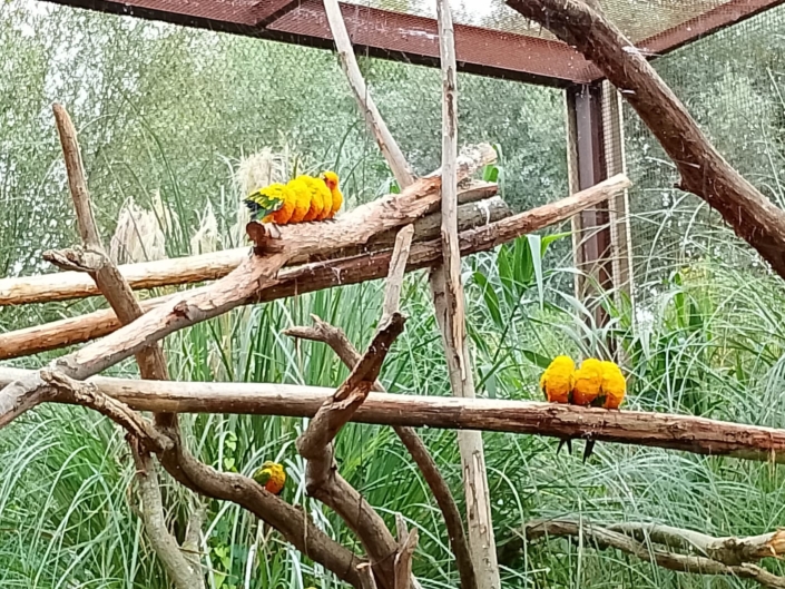 Petit retour en photo de la sorite Biotropica du 24 septembre